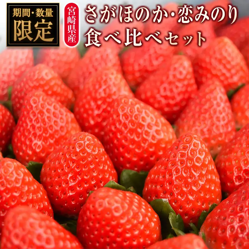 ＜2027年発送＞いちご「さがほのか」「恋みのり」食べ比べ セット 各4パック