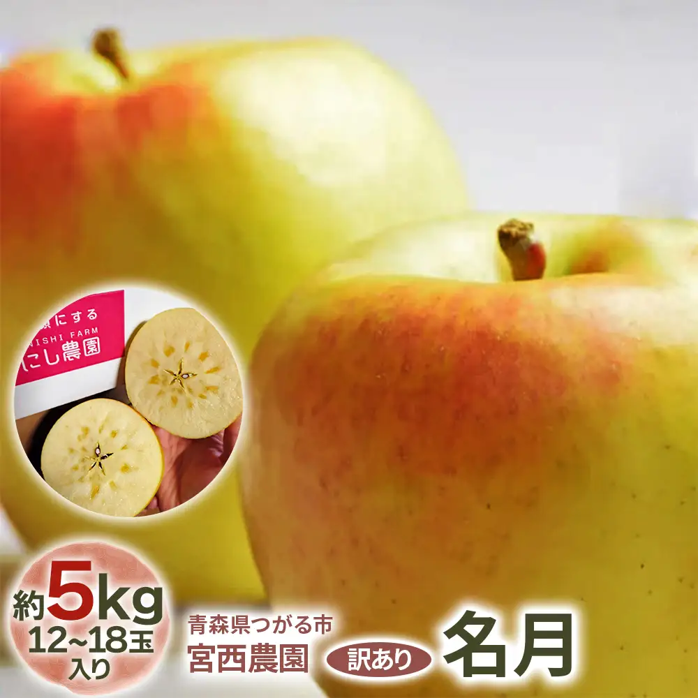 [訳あり] 名月【約5kg 12から18玉入り】糖度15度以上のりんご [1050]