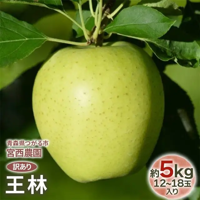 [訳あり] 王林【約5kg 12から18玉入り】芳醇な香りの青りんご [1053]