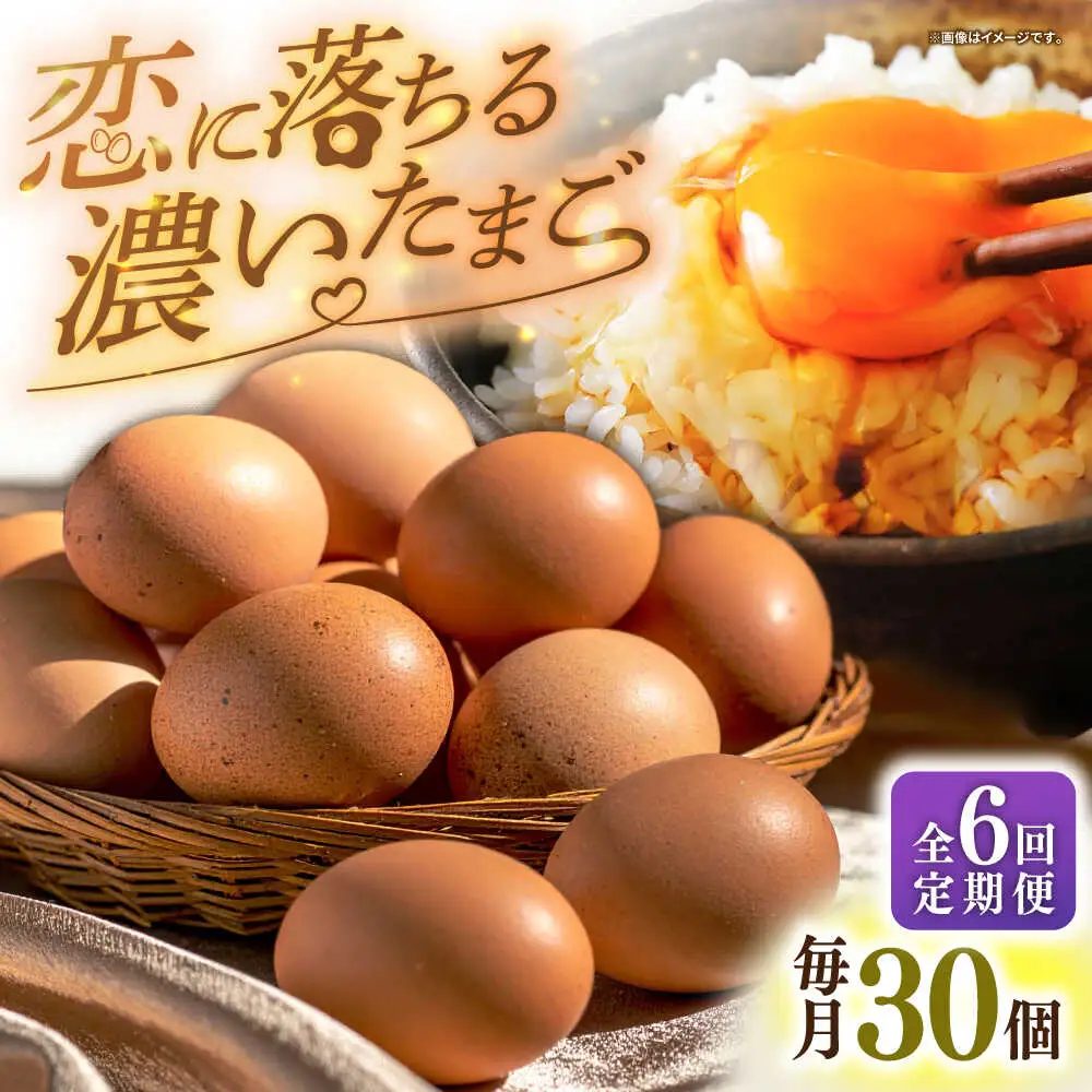 【全6回定期便】【特選卵】素直な恋たまご 30個 [JAP020]