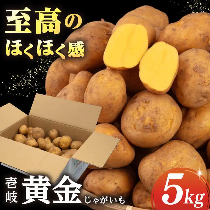 【先行予約】壱岐黄金じゃがいも 5kg [JBO139] じゃがいも 旬野菜