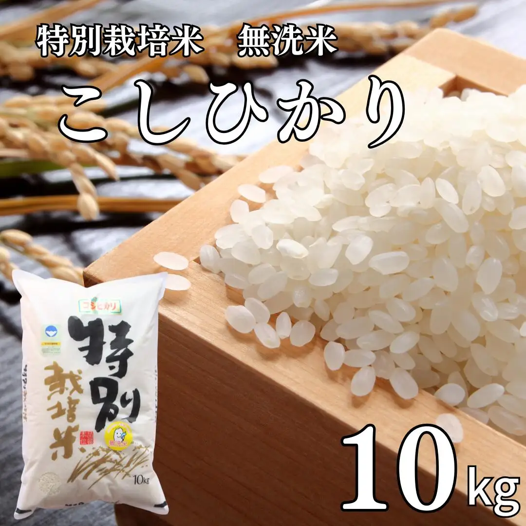 コシヒカリ10kg 無洗米 新潟県認証 特別栽培米 令和7年産 三条市 コシヒカリ