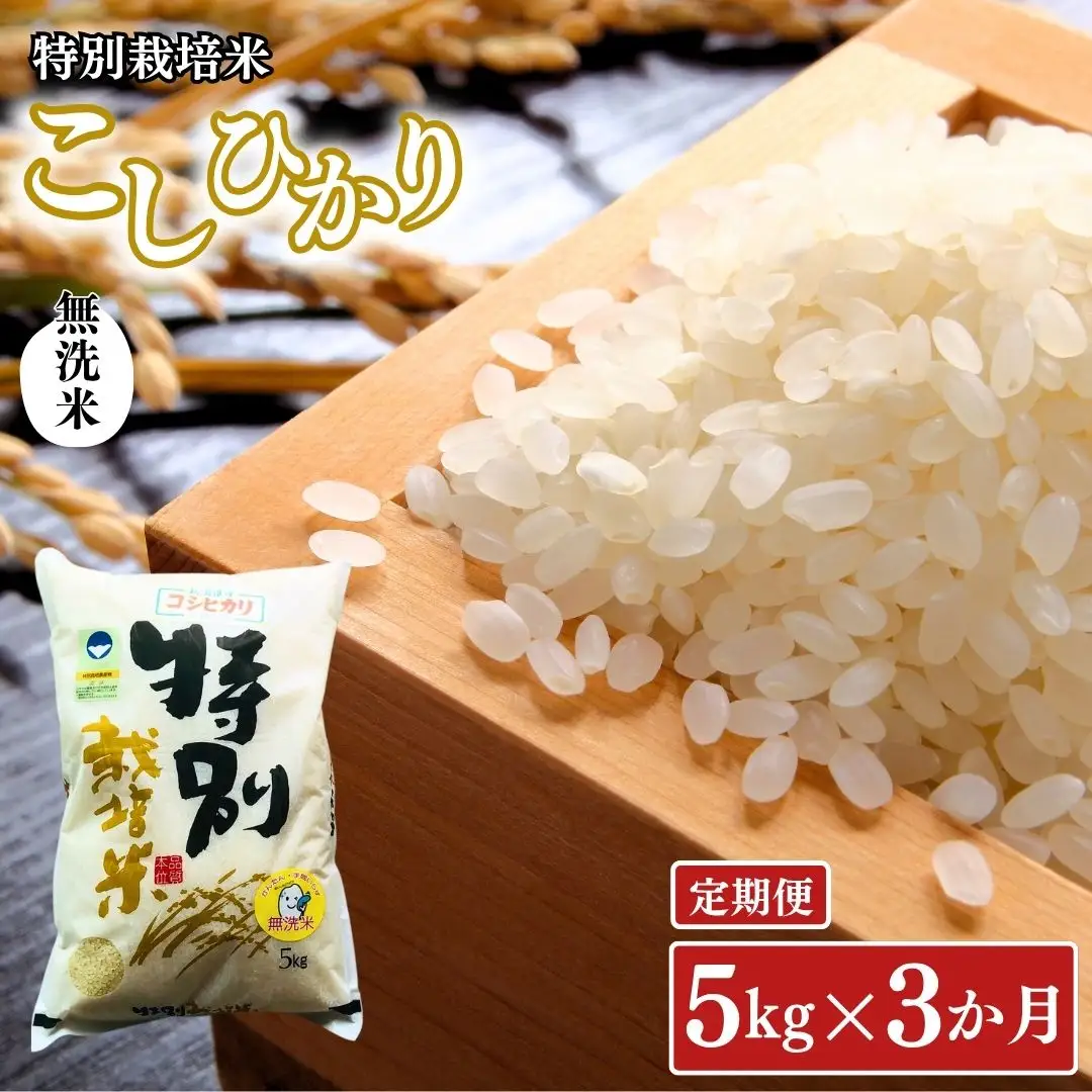 [無洗米 定期便 5kg×3ヶ月] 特別栽培米 コシヒカリ5kg 合計15kg 無洗米 新潟県 令和8年産 三条市