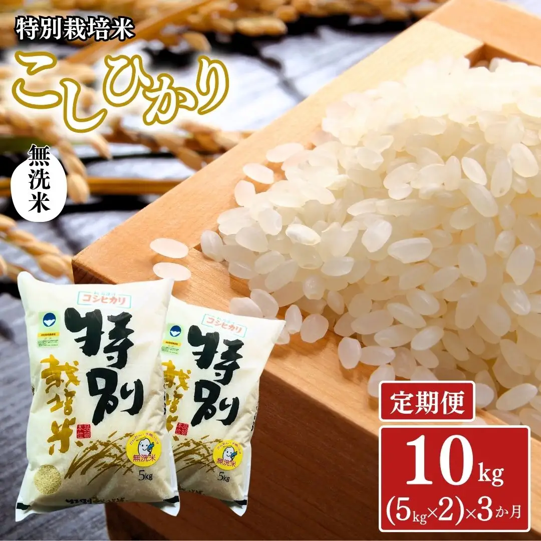 [無洗米 定期便 10kg(5kg×2)×3ヶ月] 特別栽培米 コシヒカリ10kg 合計30kg 無洗米 新潟県認証 令和8年産 三条市