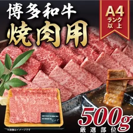 【毎月定期便】博多和牛 A4～A5 焼き肉用【厳選部位】(500g)全12回_肉 焼肉 牛肉 やきにく ヤキニク バーベキュー  定期便 定期便  _【配送不可地域：離島】【4054210】