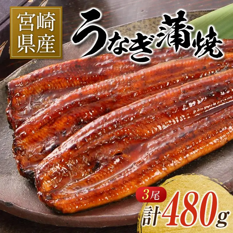 宮崎県産 うなぎ 蒲焼 3尾 計480g 個包装 長焼 国産 鰻