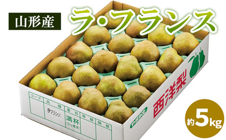 山形のラ・フランス 秀品 約5kg(12～20個) FY25-828