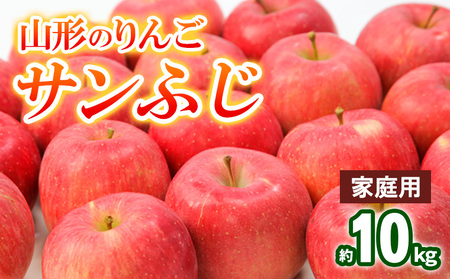 【家庭用】山形のりんご サンふじ 約10kg(20～40個) FY25-830