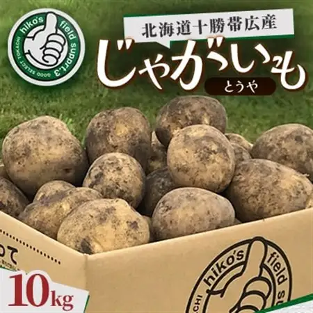 じゃがいも (とうや)10kg 北海道十勝帯広産_野菜 じゃがいも いも ジャガイモ 馬鈴薯_【配送不可地域：離島】【1497195】