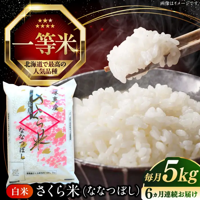 令和7年産 令和8年産 【全6回定期便】ななつぼし さくら米 5kg お米 一等米 北海道 [AXAB029]