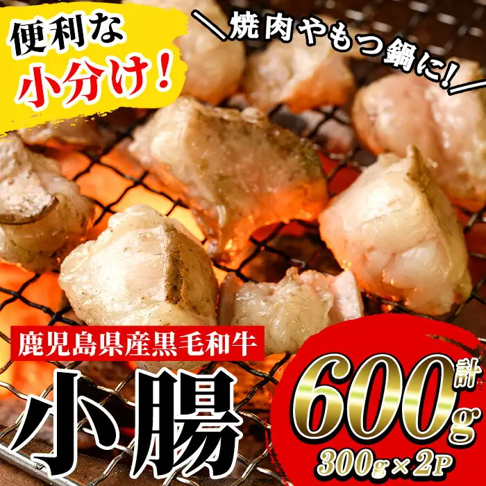 ホルモン 鹿児島県産 黒毛和牛 小腸 600g ホルモン【00-030-27】