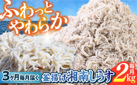 【全3回定期便】釜揚げ 湘南しらす 1kg×２P【平敏丸】 [AKEZ014]