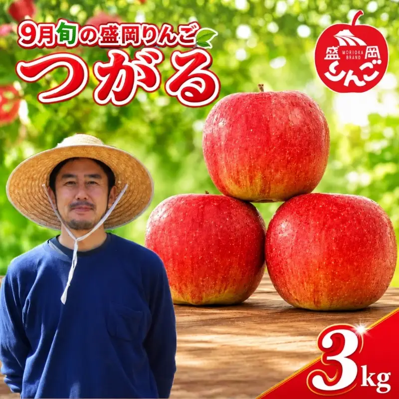 先行予約りんご「つがる」3kg 盛岡りんご つがる りんご工房きただRKK001