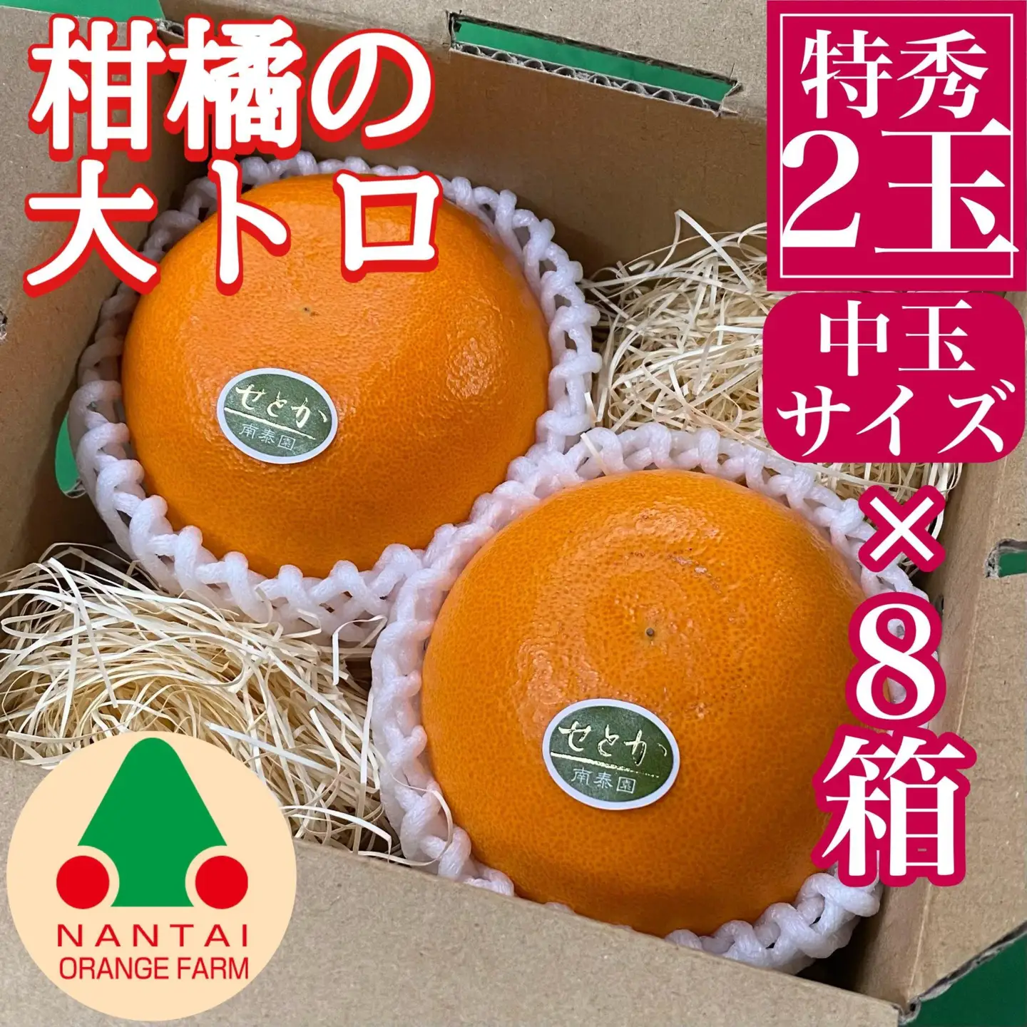 お試し規格 柑橘の大トロ ハウス せとか 厳選 中玉 2玉入 手さげ箱 × 8箱 南泰園 和歌山 有田