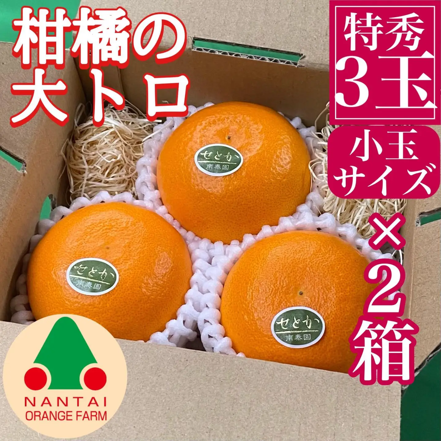お試し規格 柑橘の大トロ ハウス せとか 厳選 小玉 3玉入 手さげ箱 × 2箱 南泰園 和歌山 有田 高級せとか 小玉 ハウス 温室 化粧箱入り 甘い オレンジ