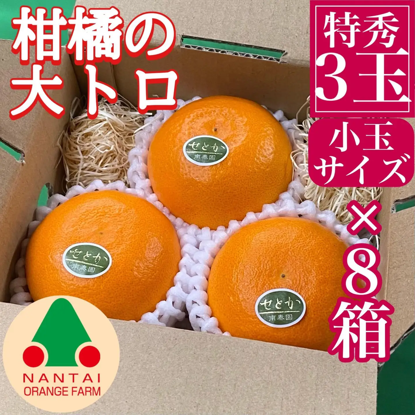 お試し規格 柑橘の大トロ ハウス せとか 厳選 小玉 3玉入 手さげ箱 × 8箱 南泰園 和歌山 有田 高級せとか 小玉 ハウス 温室 化粧箱入り 甘い オレンジ