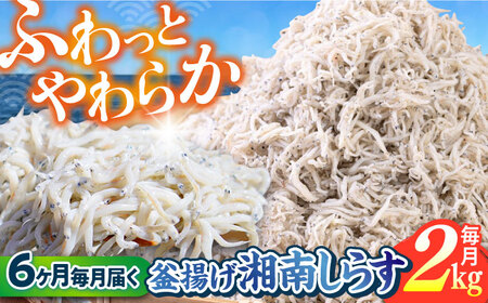 【全6回定期便】釜揚げ 湘南しらす 1kg×２P【平敏丸】 [AKEZ015]