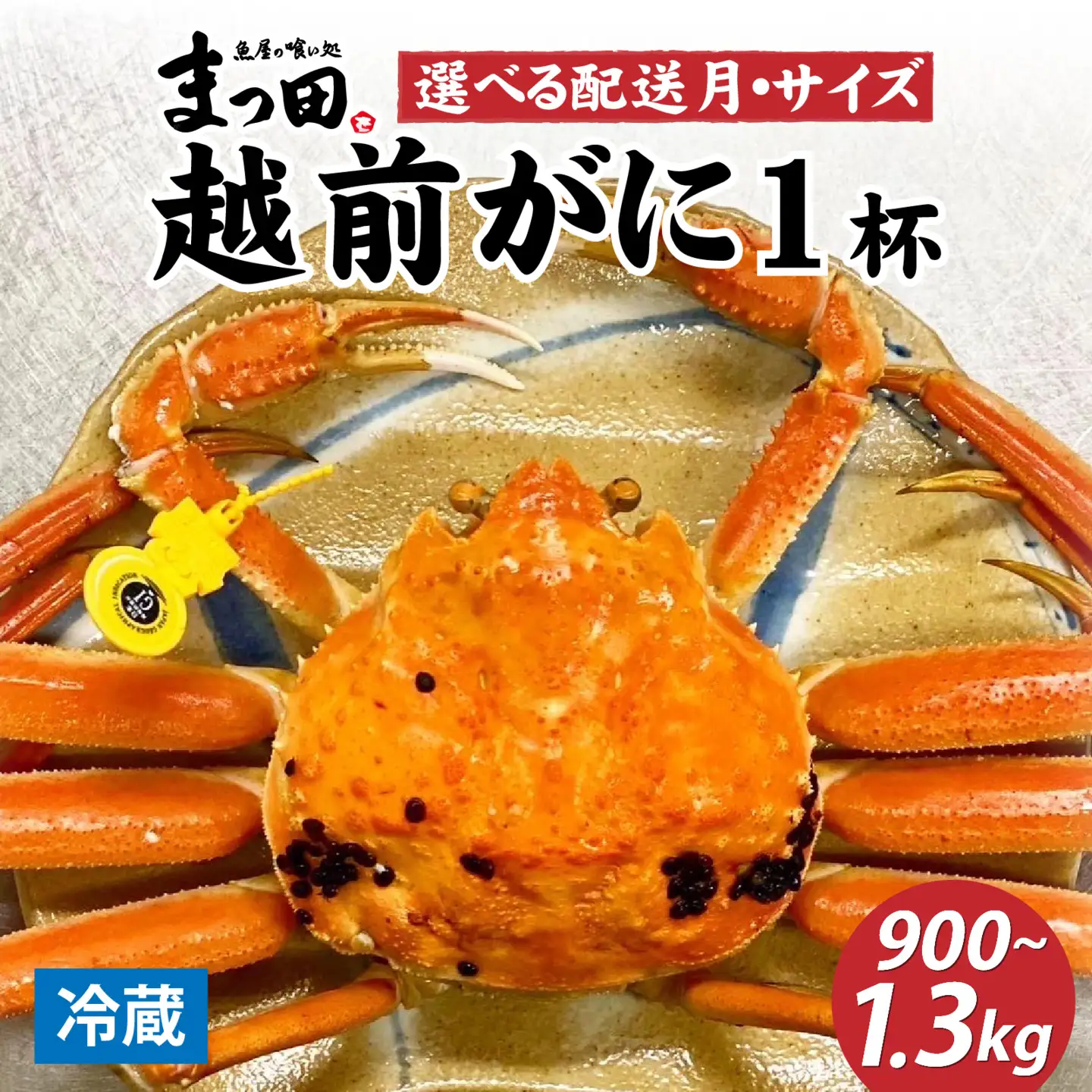 【先行予約】まっ田の越前がに 1.3kg×1杯【11月～3月配送】[M-007011]  / ｽﾞﾜｲｶﾞﾆｽﾞﾜｲｶﾞﾆｽﾞﾜｲｶﾞﾆ