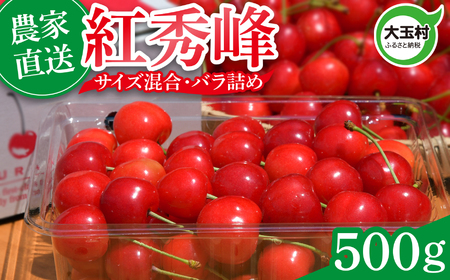 さくらんぼ 紅秀峰 500g 令和9年分 先行予約 バラ詰め サイズ混合（M/L/LL） ｜ 朝採れ もぎたて 農家直送 産地直送 果物 フルーツ 旬 新鮮 お取り寄せ ギフト 贈り物 サクランボ 福島県 大玉村 菊地果樹園 ｜ OT20-001-R9