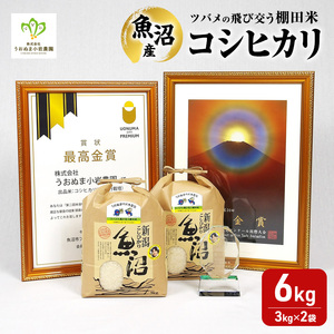 【令和8年産　新米先行受付】ツバメの飛び交う棚田米 精米6kg（3kg×2袋） 米 こめ お米 コメ こしひかり コシヒカリ 精米 新潟県 魚沼市 魚沼