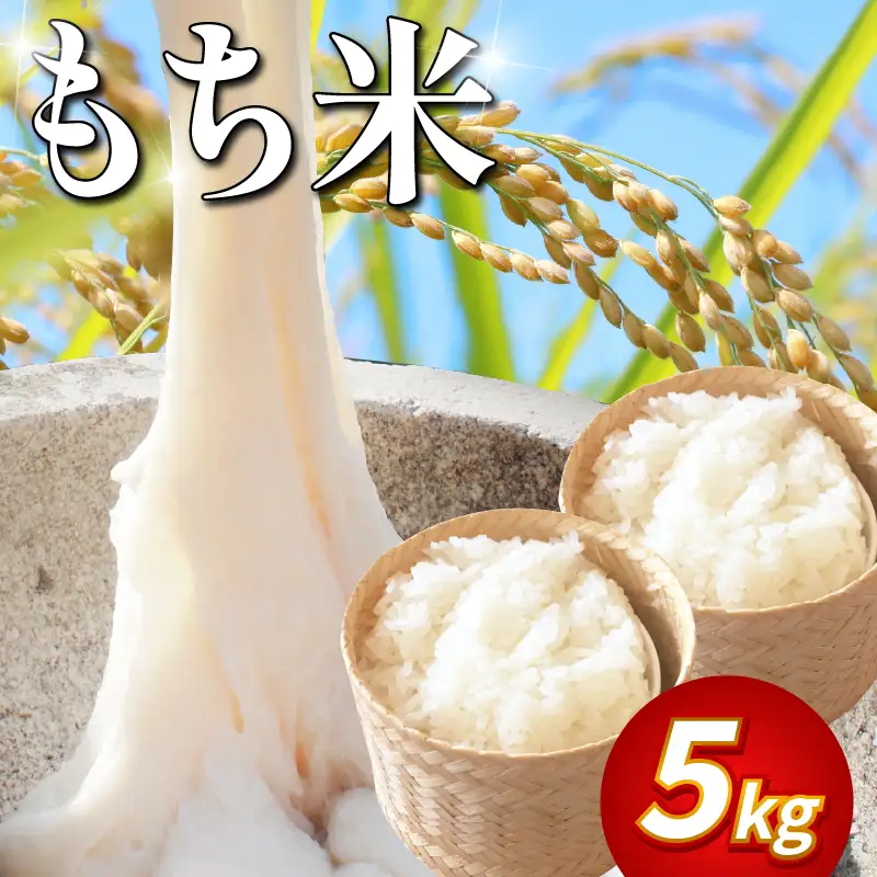 もち米 5kg 令和8年産 もち米