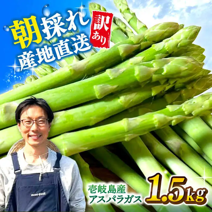 【先行予約】訳あり アスパラガス1.5kg [JGI005] アスパラ 野菜