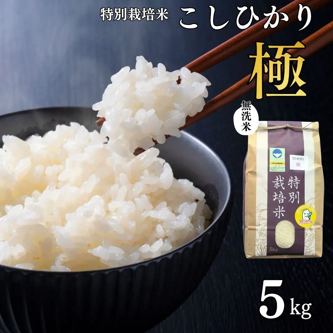 県認証 特別栽培米 コシヒカリ 「極」 5kg 無洗米 令和8年産米 こしひかり 新潟県認証 白米