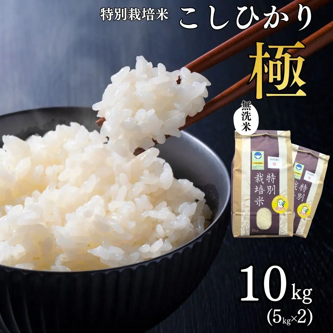 県認証 特別栽培米 コシヒカリ 「極」 10kg(5kg×2) 無洗米 令和8年産米 こしひかり 新潟県認証 白米