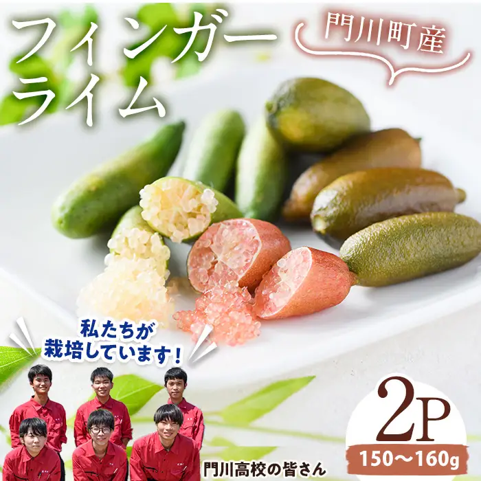 ＜先行予約受付中！2026年10月から順次発送予定＞＜数量限定・期間限定＞宮崎県門川町産フィンガーライム(160g) 柑橘  高校生【AU-2】【宮崎県立門川高等学校】
