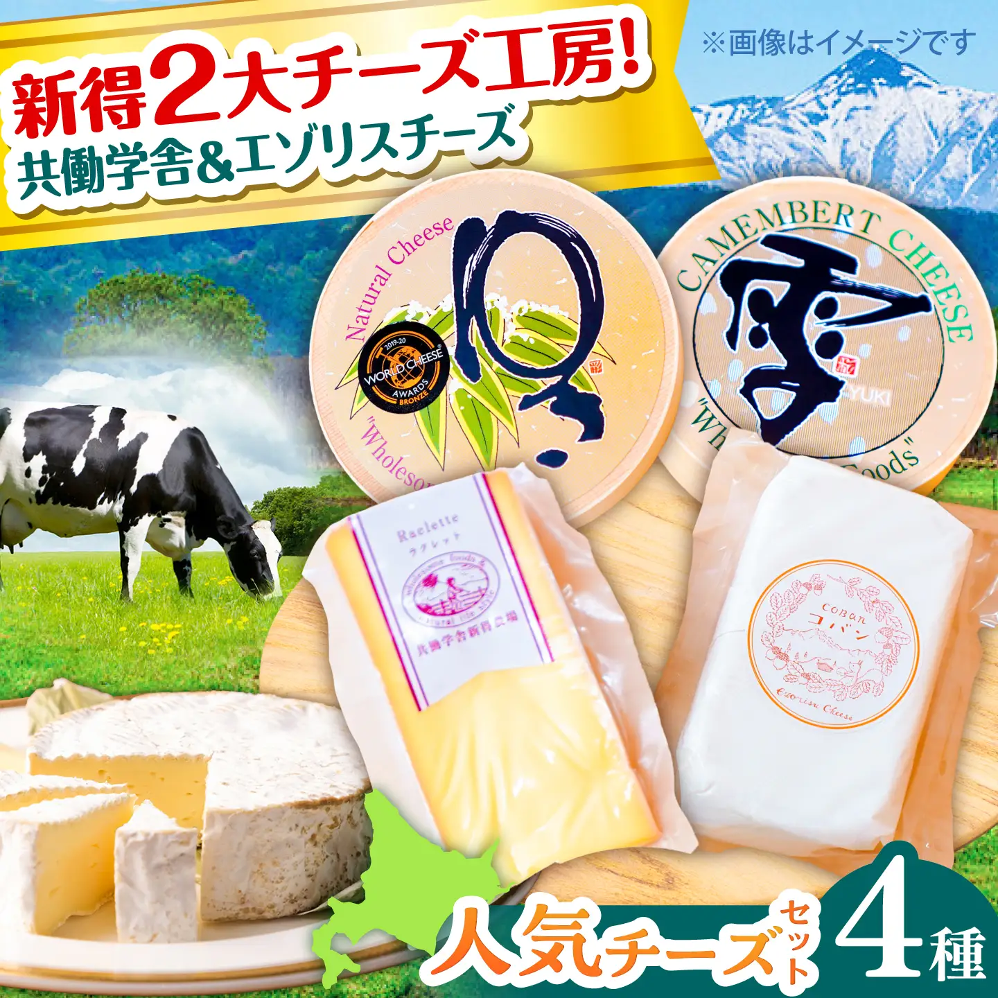 チーズ4種 食べ比べセット チーズ BNAO004