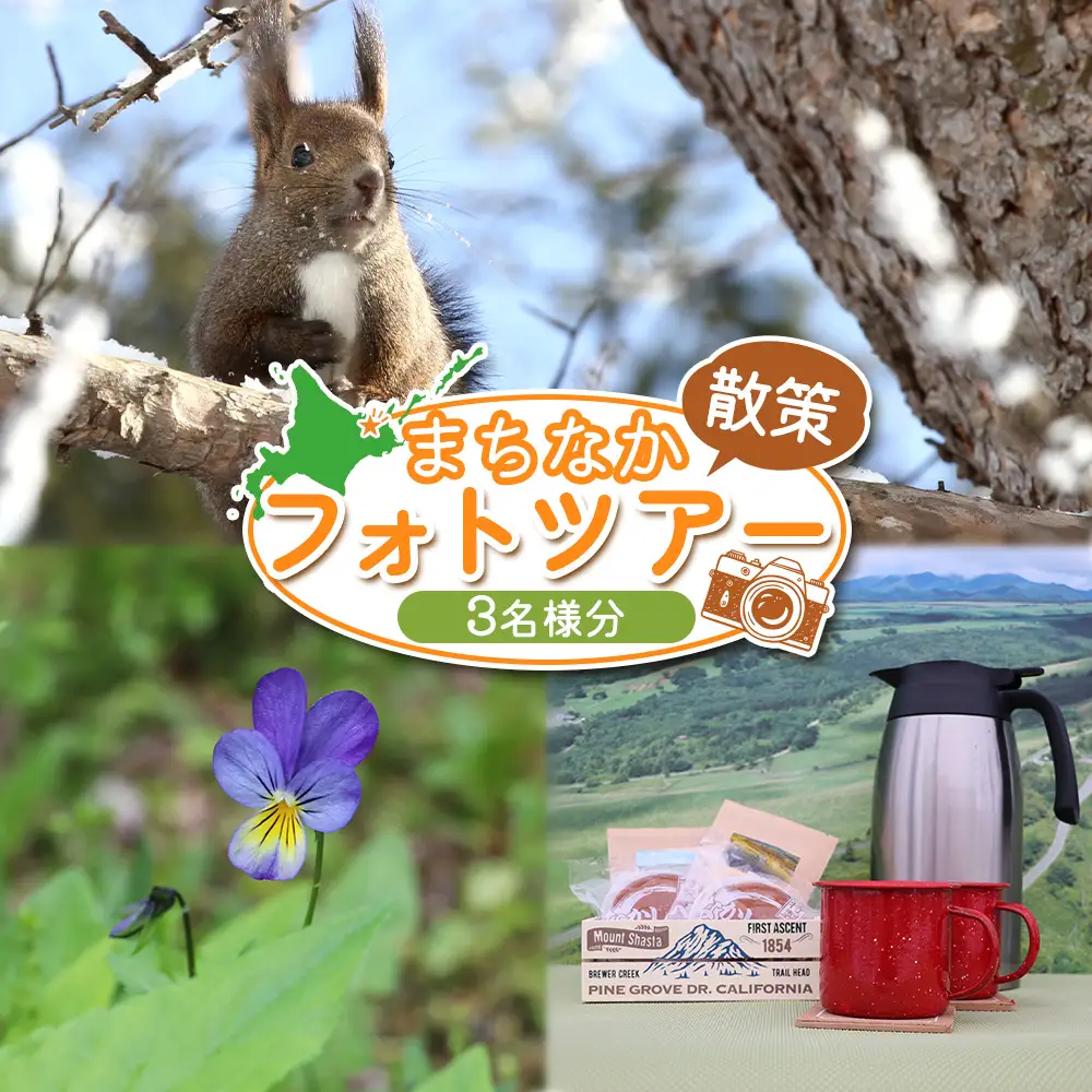 まちなか散策フォトツアー体験チケット(3人分)【3201401】