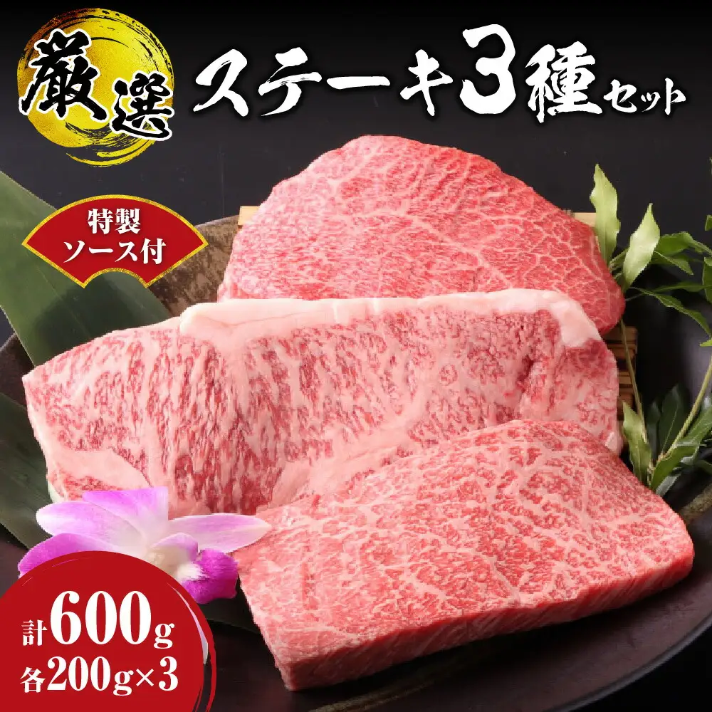 ステーキ 3種セット 合計600ｇ 特製ソース付