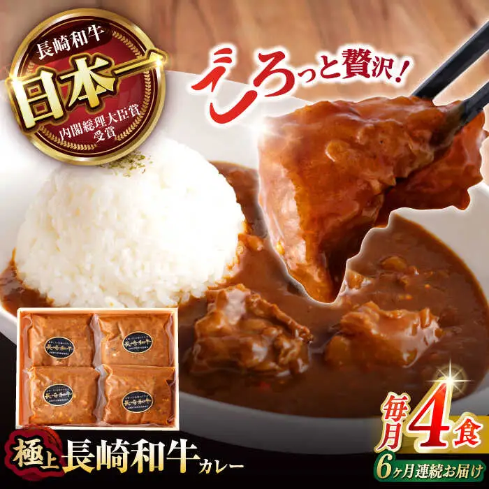 【6回定期便】【肉のプロが贈る 究極のカレー】長崎和牛 A5 カレー 約240g×4袋 / カレーライス かれー レトルト 牛 和牛 / 諫早市 / 野中精肉店 [AHCW099]