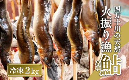四万十川上流の天然鮎 新もの冷凍 火振り漁鮎 2kg ( 冷凍 6-22尾 ) 鮎 あゆ アユ 川魚 高知県 四万十 天然 冷凍