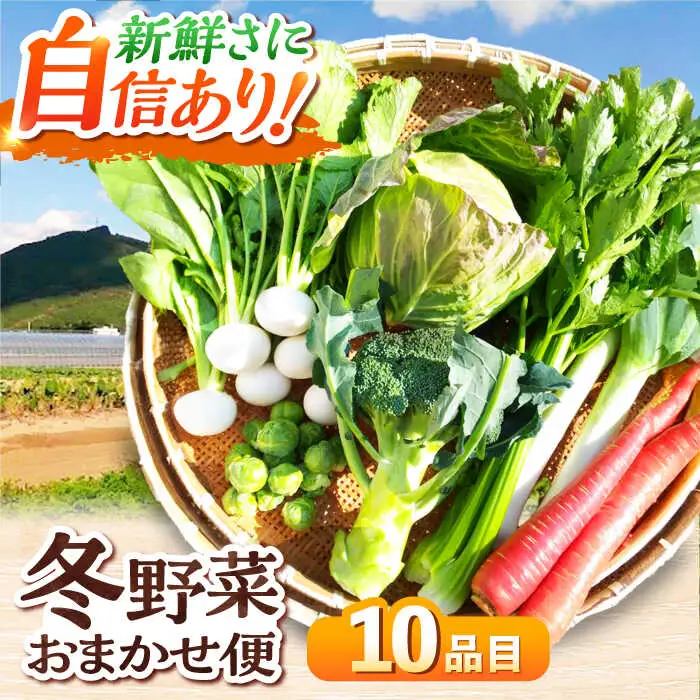 冬 野菜 【11月中旬から順次発送】 おまかせ便10種 冬 野菜 かとう旬菜畑直送 [AGCW001]