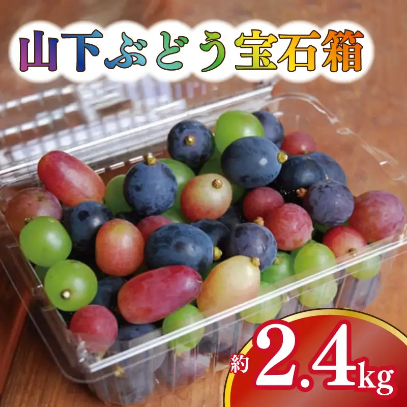 【 ぶどう 】 ぶどう 詰合わせ 2.4kg 2026年8月発送