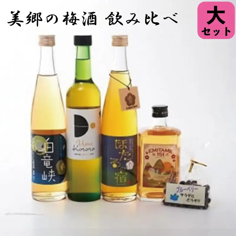 先行予約 美郷の梅酒【飲み比べ】大 2025年5月以降発送