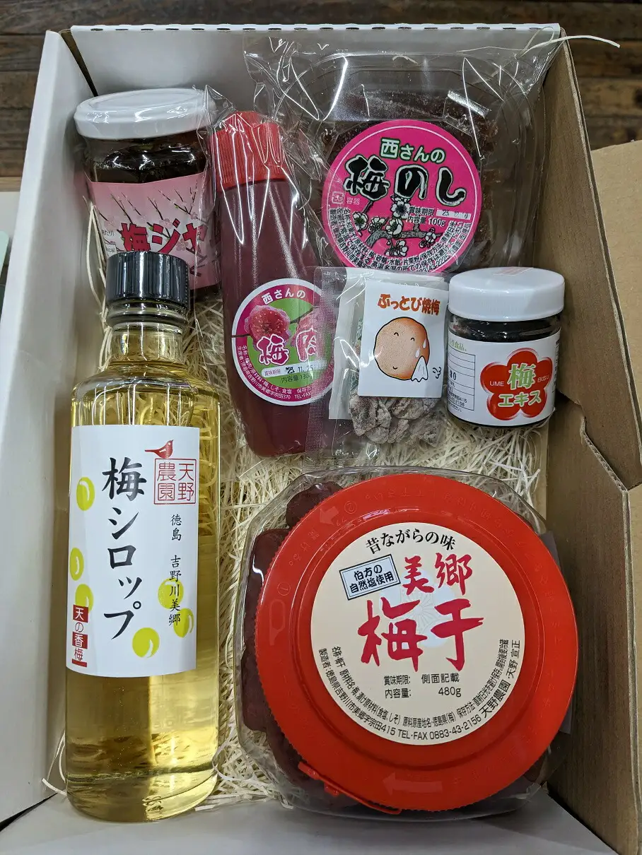 新・美郷梅づくし 梅肉 梅干し