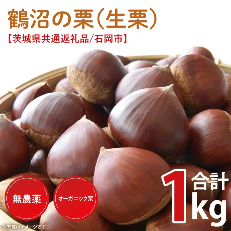 【2026年9月中旬より順次発送】石岡市鶴沼の栗（生栗）1kg（茨城県共通返礼品/石岡市）（KN-4）