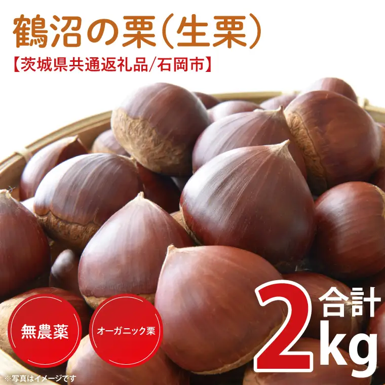 【2026年9月中旬より順次発送】石岡市鶴沼の栗（生栗）2kg（茨城県共通返礼品/石岡市）（KN-5）