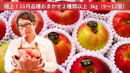 先行予約【台風に挑む】10月の米崎りんご ぎゅっとセット 3kg 【 りんご 品種 おまかせ 旬 お届け 岩手 陸前高田 】2024.10月発送予定RT2058-2024-10