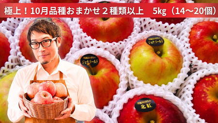 先行予約【渚のフォトグラフ】10月の米崎りんご ぎゅっとセット 5kg 【 りんご 品種 おまかせ 旬 お届け 岩手 陸前高田 】2024.10月発送予定RT2059-2024-10