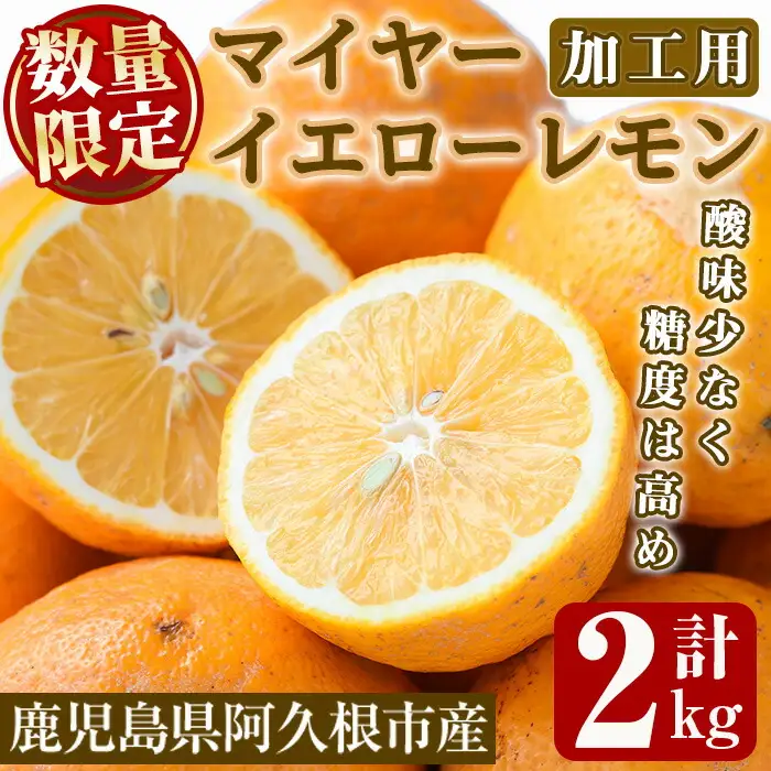 ＜先行予約受付中！2027年1月中旬以降順次発送予定＞数量限定！加工用・露地マイヤーイエローレモン(2kg) 国産 果実 果物 レモン イエローレモン フルーツ 檸檬 柑橘 デザート 期間限定【桐野柑橘株式会社】akn070-02