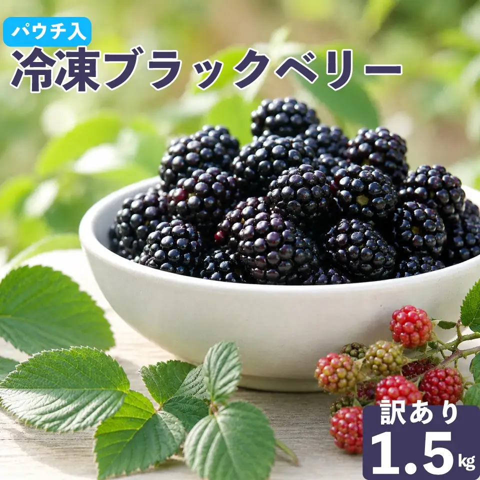 【ふるさと納税】＜【加工用・訳あり】冷凍ブラックベリー約1.5kg＞ふるーつ fruit ヒロの果樹園からMIYAMOTOFARM が受け継ぎました 冷凍フルーツ フローズン スムージー チャック付き袋入り 家庭用 高知県 佐川町 （栽培期間中 化学農薬化学肥料不使用）