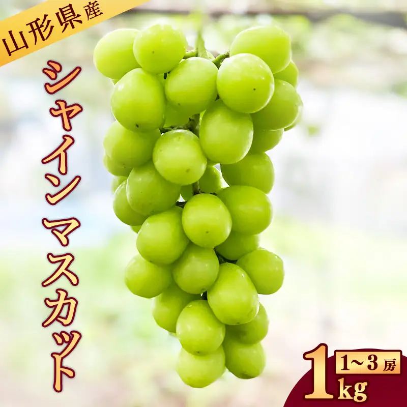 令和8年産 新鮮 シャインマスカット 1kg 山形県産 【2026年9月中旬から10月頃発送予定】 ※配送不可 沖縄・離島　013-B-JA008