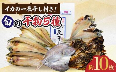 アオリイカの一夜干しと旬の干物5種セット約10枚[RAH001] 干物 イカ アオリイカ 干物 イカ アオリイカ 干物 イカ アオリイカ 干物 イカ アオリイカ九州 長崎