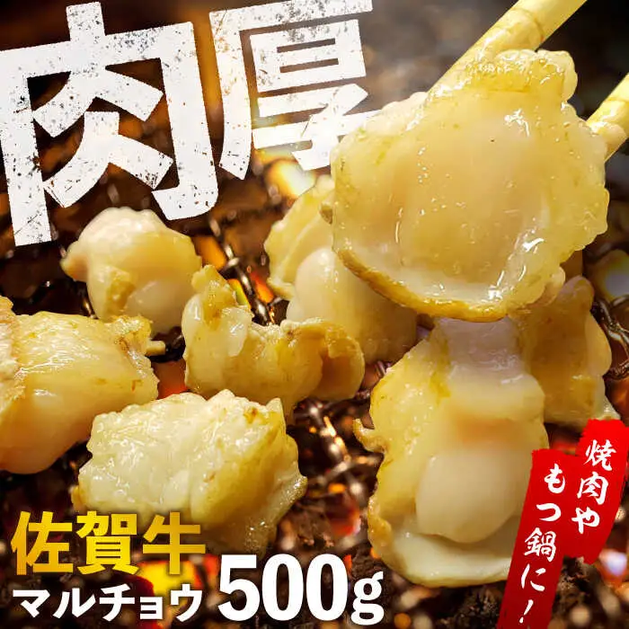 【脂が甘くてぷりっぷり！】佐賀牛ホルモン 焼肉用 小腸 500g（250g×2）味付けなし 吉野ヶ里町/やきとり紋次郎[FCJ089]