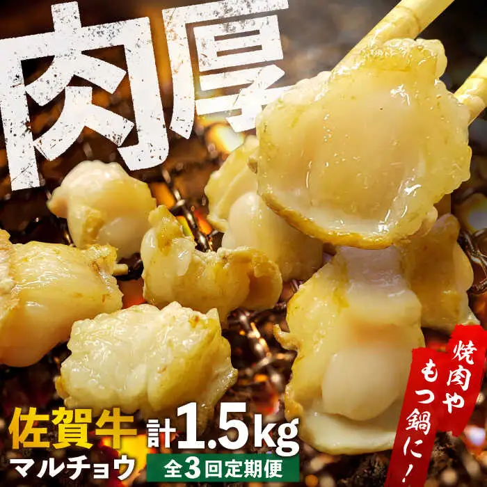 【全3回定期便】 【脂が甘くてぷりっぷり！】佐賀牛ホルモン 焼肉用 小腸 計1.5kg（250g/袋）味付けなし 吉野ヶ里町/やきとり紋次郎[FCJ091]