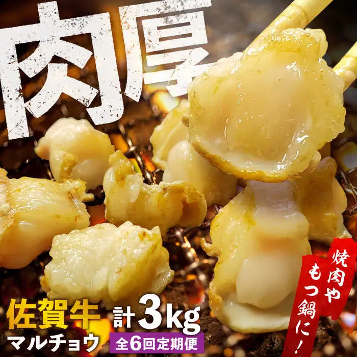 【全6回定期便】 【脂が甘くてぷりっぷり！】佐賀牛ホルモン 焼肉用 小腸 計3kg（250g/袋）味付けなし 吉野ヶ里町/やきとり紋次郎[FCJ092]