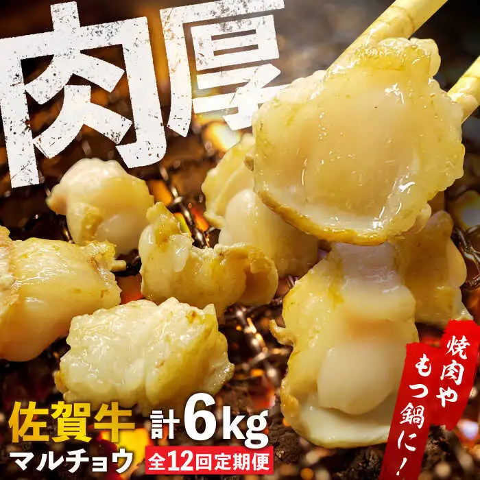 【全12回定期便】 【脂が甘くてぷりっぷり！】佐賀牛ホルモン 焼肉用 小腸 計6kg（250g/袋）味付けなし 吉野ヶ里町/やきとり紋次郎[FCJ093]